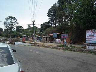 <span class="mw-page-title-main">Painavu</span> Town in Kerala, India