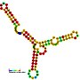 Thumbnail for Anti-Q RNA