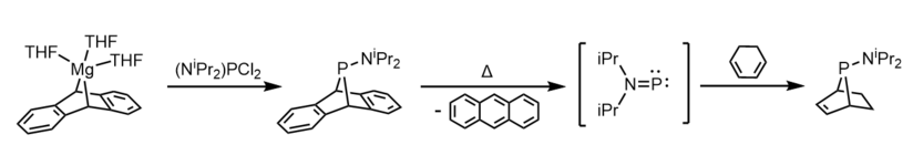 Synthesis of RPA (R = NiPr2) and an example phosphinidene transfer reaction with 1,3-cyclohexadiene RPA reaction.png