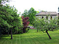 Park des Anwesens, von der Weinbergstraße aus