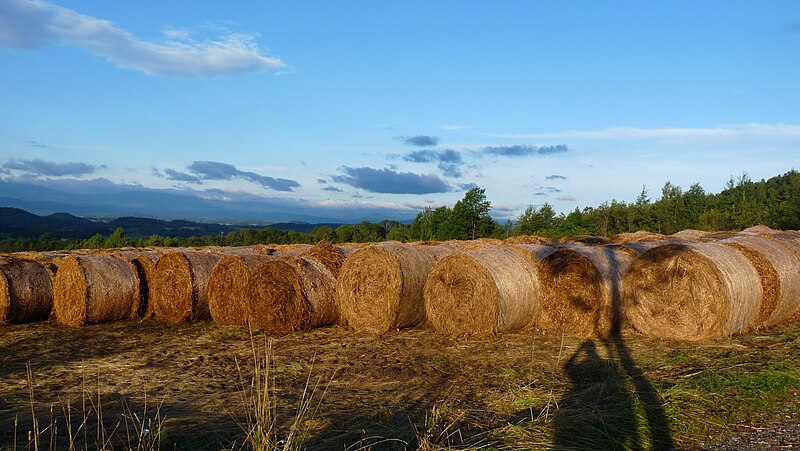 File:Radomierz - Skopiec 2 - panoramio.jpg