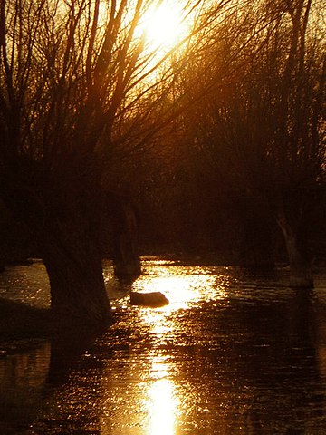 Nera i Romania