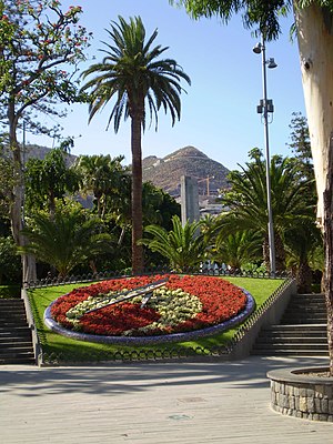 Reloj de flores.JPG