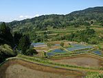 Terraços de arroz, Yamakoshi, Niigata.jpg