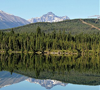 <span class="mw-page-title-main">Roche Noire (Alberta)</span> Mountain in the country of Canada