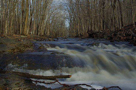 Rock brook skillman nj