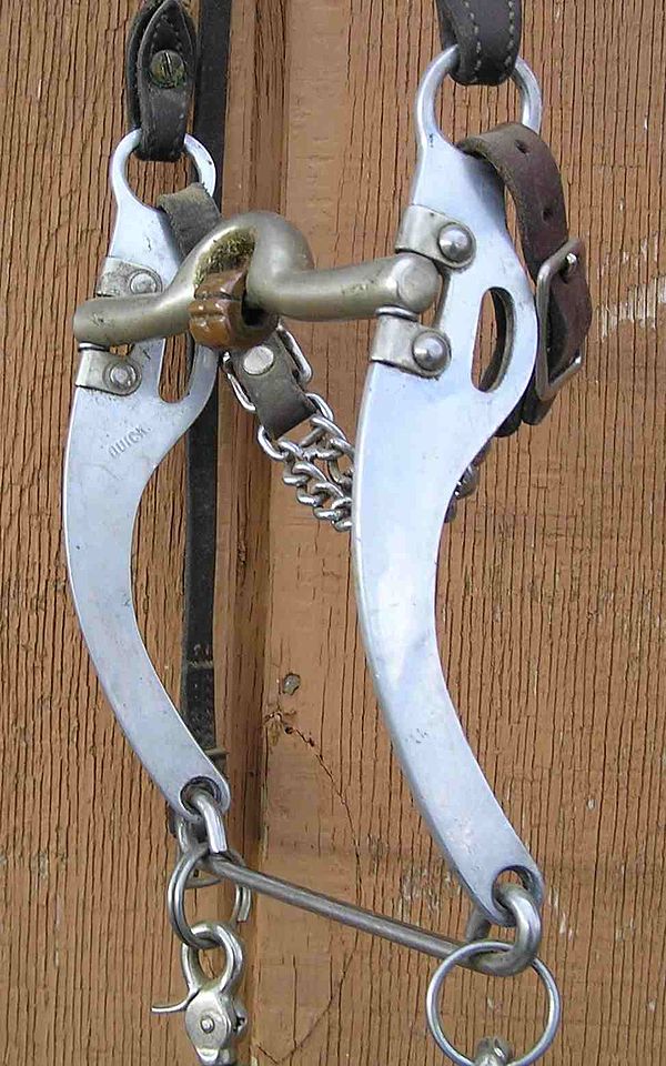 This photo shows all possible elements of a western shanked bit, including loose cheek, "slobber bar," mouthpiece, curb rein ring, snaffle rein slot, 