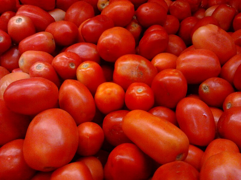 File:Roma or Bangalore Tomatoes (Indian hybrid).jpg