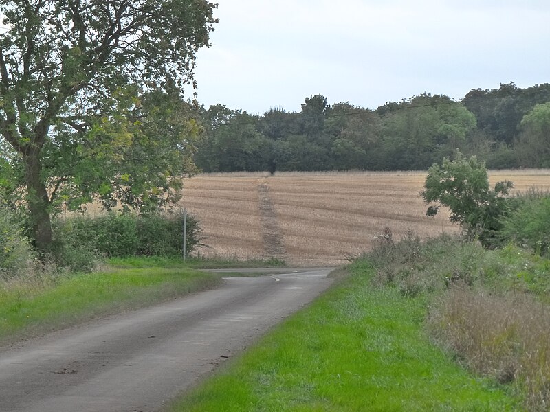 File:Roman alignment, Graby (geograph 3156060).jpg