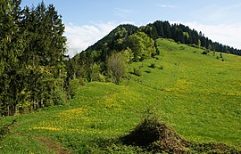 Rottachberg-falkenstein.jpg