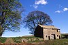 Ruined barn at New House - geograph.org.uk - 964275.jpg