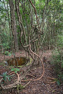 Galways Land National Park