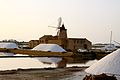 Salt evaporation ponds by Mozia