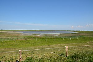 Schleswig-Holstein, Dithmarschen, Naturschutzgebiet Wöhrdener Loch NIK 3239.jpg