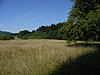 Seewalchen Gerlhamer Moor 1.JPG