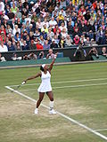 2007 Wimbledon Championships