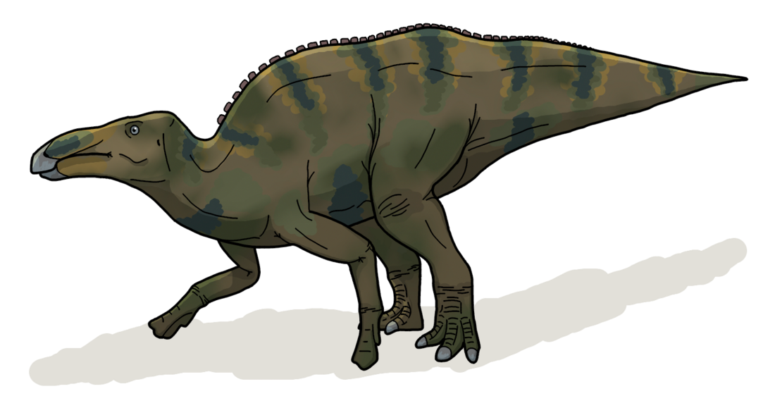 Shantungosaurus