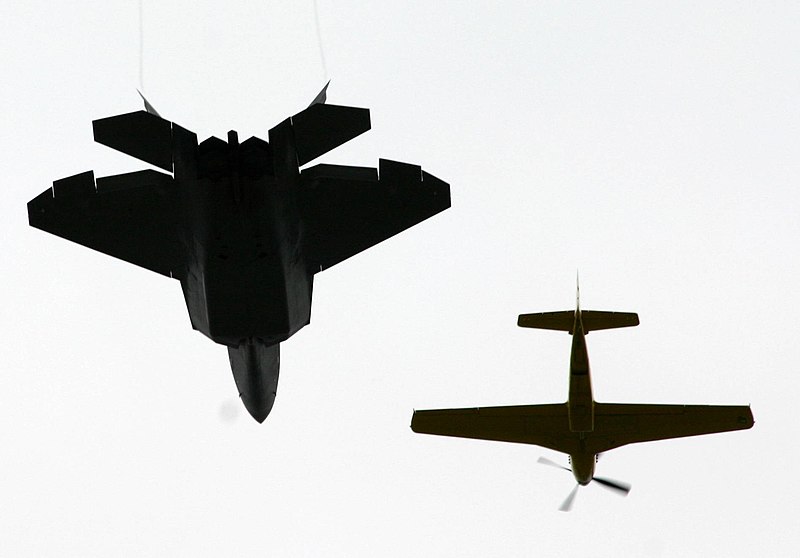 File:Silhouette of an F-22 and P-51 (2624001746).jpg