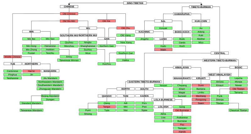 Western Tibeto-Burman languages, largely following Thurgood and La Polla (2003).