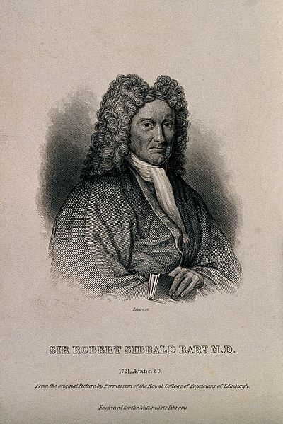 File:Sir Robert Sibbald. Line engraving by W. H. Lizars after J. Wellcome V0005420.jpg