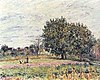 Sisley - Walnut-Trees, -Sunset-Early-Days-Of-October.jpg