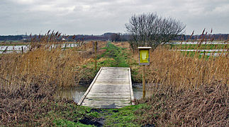 might be called "too wide" (note the vehicle tracks in the background)