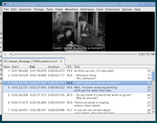 <span class="mw-page-title-main">Subtitle editor</span> Type of software