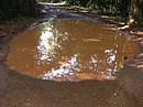 Suriname, Brownsberg road with rain puddles.JPG