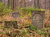 Polski: Cmentarz rzymskokatolicki (wielowyznaniowy) Szczebrzeszyn ul. Cmentarna This is a photo of an object of cultural heritage inscribed in the registry of the Lublin Voivodeship with number A/332.