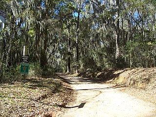 <span class="mw-page-title-main">Rollins House</span> Historic house in Florida, United States