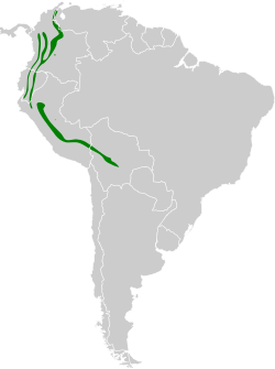 Distribución geográfica de la tangara dorada.