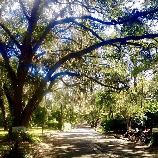 Glen Burnie Ave. looking south toward Glen Arven