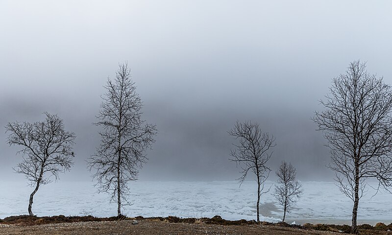 File:Tenojoki, Lapland.jpg