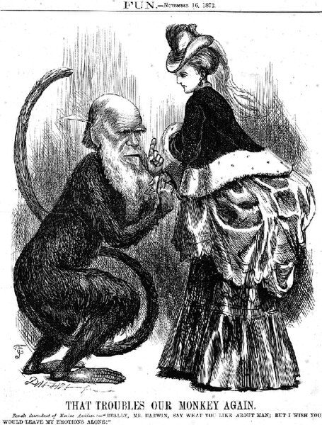 File:That Troubles Our Monkey Again - Fun (magazine) 1872.jpg