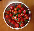以色列農業技術也非常發達。聖女果，「櫻桃番茄」，也是以色列培育出來的新品種