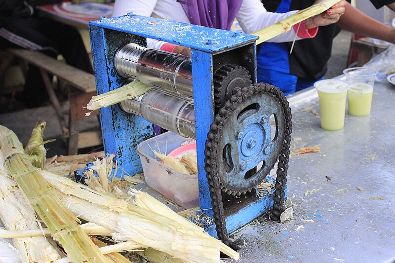 File:Traditional sugarcane grinder.JPG