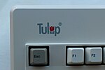 Miniatura para Tulip Computers