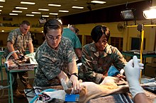 US and South African Army Vet Technicians Prepare Dog for Spaying.jpg