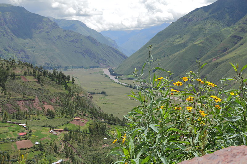 File:Urubambadalen-IMG 6905.JPG