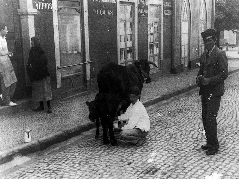 File:Venda de leite à porta com vaca, 1940.jpg