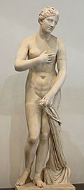 Venus pudica Massimo.jpg