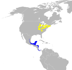 Vermivora cyanoptera map.svg