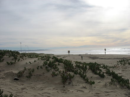 Oceano Beach, California