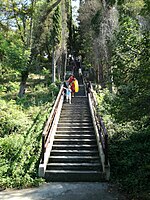 Escaleras de la pensión "Burevestnik-2"