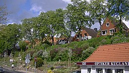 Strohberg in Plön
