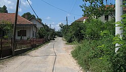 Vratna Caddesi, Sırbistan