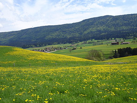 Vue sur Malleray