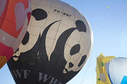 A WWF hot air balloon in Mexico (2013)