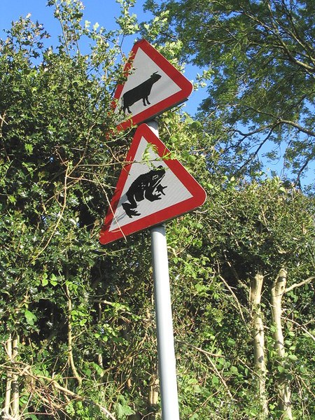 File:Warning road signs near Rhyd-y-Pandy - geograph.org.uk - 179241.jpg