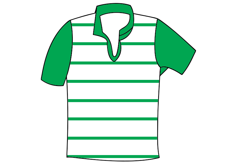 File:Warringah jersey.svg